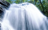 Waterfall streams HD Wallpapers #33