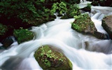 Waterfall streams HD Wallpapers #34