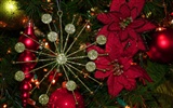 Christmas landscaping series wallpaper (15) #2