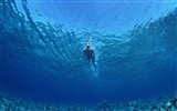 Deep Blue Wallpaper monde sous-marin #27