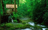 Beautiful natural scenery wallpapers (1) #12