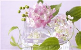 Flowers Gifts HD Wallpapers (4) #20