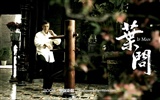 Ip Man Movie Wallpapers #1