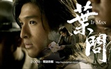 Ip Man Tapety na plochu Film #5