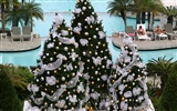 Christmas landscaping series wallpaper (17) #11