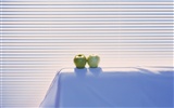 Indoor Album Still Life Wallpaper (2) #10