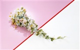 Wedding Flowers items wallpapers (1) #20