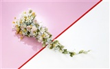 Wedding Flowers Produkten Wallpaper (1) #20