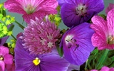 Flowers close-up (9) #10