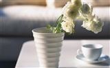 Indoor Album Still Life Wallpaper (3) #16