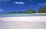 Beach Landschaft Tapeten Alben #12