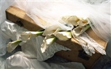 Wedding Flowers items wallpapers (2) #12