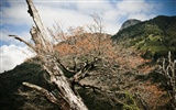 Patagonia paysages naturels Fond d'écran #20