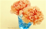 Mother's Day of the carnation wallpaper albums #23