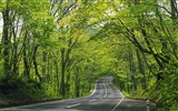 道路寫真壁紙 #33