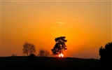 Glow of sunset HD exquisite wallpaper (1) #2