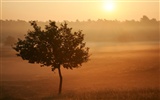 Glow of sunset HD exquisite wallpaper (1) #8