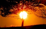 Glow of sunset HD exquisite wallpaper (1) #34