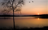 Glow of sunset HD exquisite wallpaper (1) #35