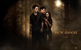 La Saga Crepúsculo: Luna Nueva álbum fondo de pantalla (1) #4