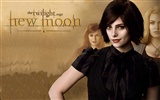 Saga Twilight: New Moon wallpaper album (1) #7