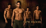 Saga Twilight: New Moon wallpaper album (2) #9