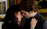 The Twilight Saga: New Moon wallpaper album (2) #11