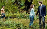 The Twilight Saga: New Moon wallpaper album (2) #19