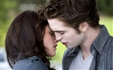 The Twilight Saga: New Moon wallpaper album (2) #24