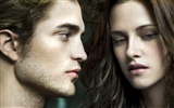 Saga Twilight: New Moon wallpaper album (2) #25