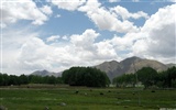 Tibet Landschaft Tapeten Alben #12