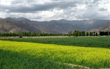 Fond d'écran paysage albums Tibet #17