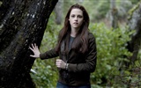 Saga Twilight: New Moon wallpaper album (3) #19