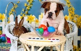 1600 dog photo wallpaper (2) #18