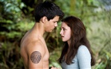 	The Twilight Saga: New Moon wallpaper album (4) #1