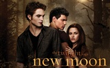 The Twilight Saga: New Moon Wallpaper Album (4)