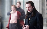 	The Twilight Saga: New Moon wallpaper album (4) #14