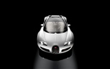 Bugatti Veyron 布加迪威龙 壁纸专辑(一)2