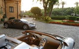 Bugatti Veyron 布加迪威龙 壁纸专辑(一)7