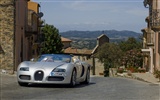 Bugatti Veyron Wallpaper Album (1) #11