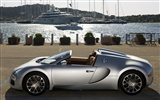 Bugatti Veyron 布加迪威龙 壁纸专辑(一)14