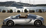 Bugatti Veyron Wallpaper Album (1) #14