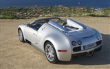 Bugatti Veyron Wallpaper Album (1) #16
