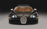 Bugatti Veyron Wallpaper Album (1) #20