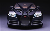 Bugatti Veyron 布加迪威龙 壁纸专辑(二)1