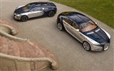 Bugatti Veyron 布加迪威龙 壁纸专辑(二)2