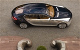 Bugatti Veyron 布加迪威龙 壁纸专辑(二)4