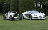 Bugatti Veyron 布加迪威龙 壁纸专辑(二)11