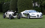 Bugatti Veyron Wallpaper Album (2) #11