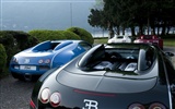 Bugatti Veyron 布加迪威龙 壁纸专辑(二)15